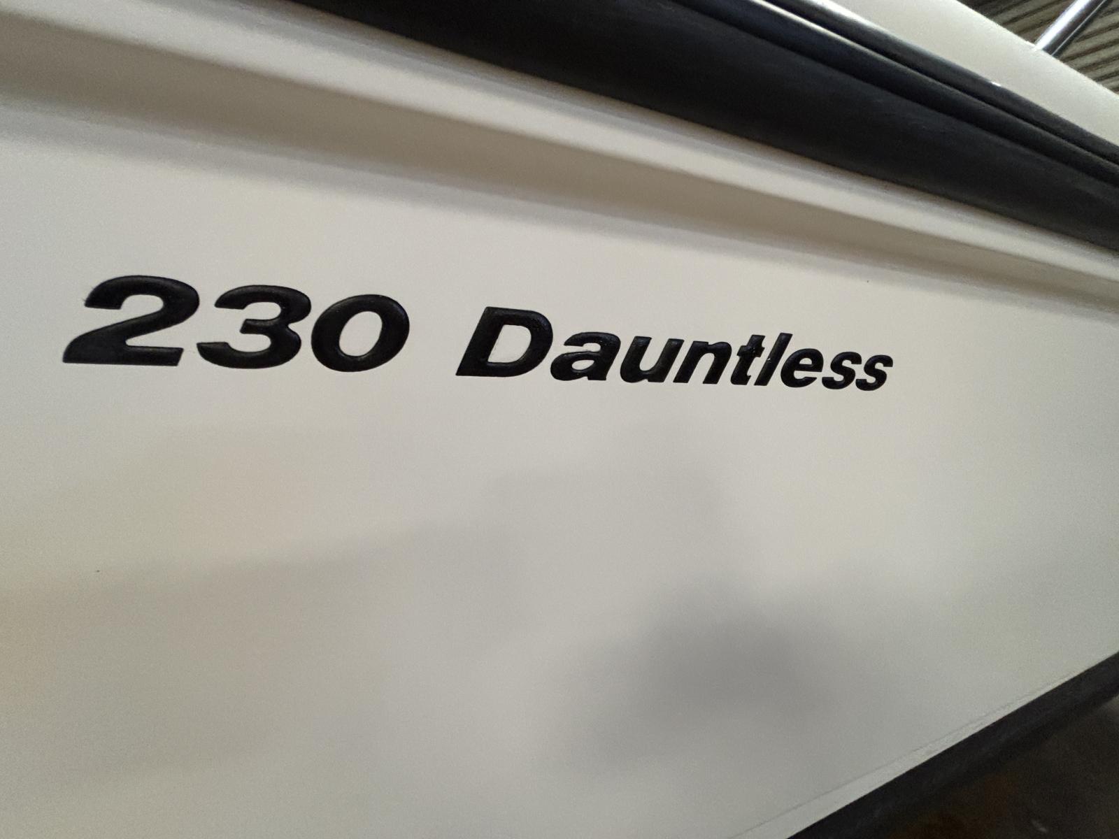boston_whaler_230_dauntless_-_la_grande_motte_67_.jpg