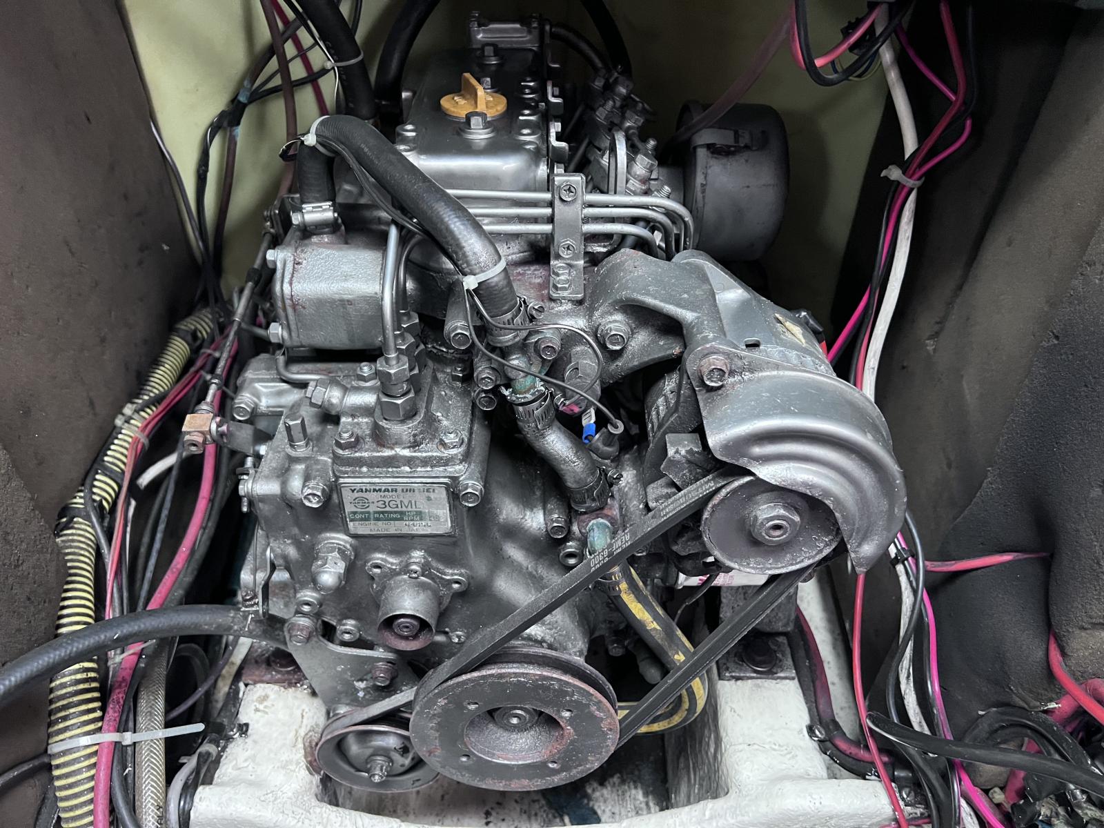 rgmPI_img_4937.jpg