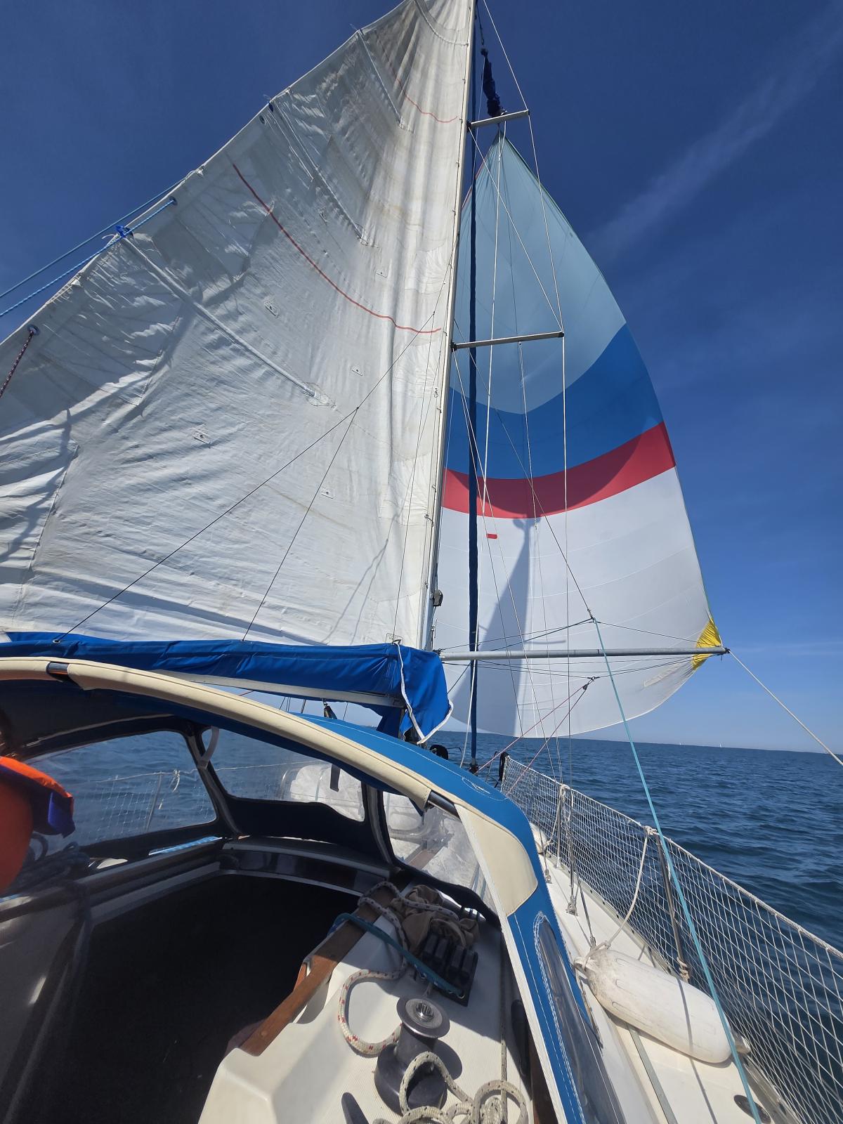 wmvNq_51354.jpg
