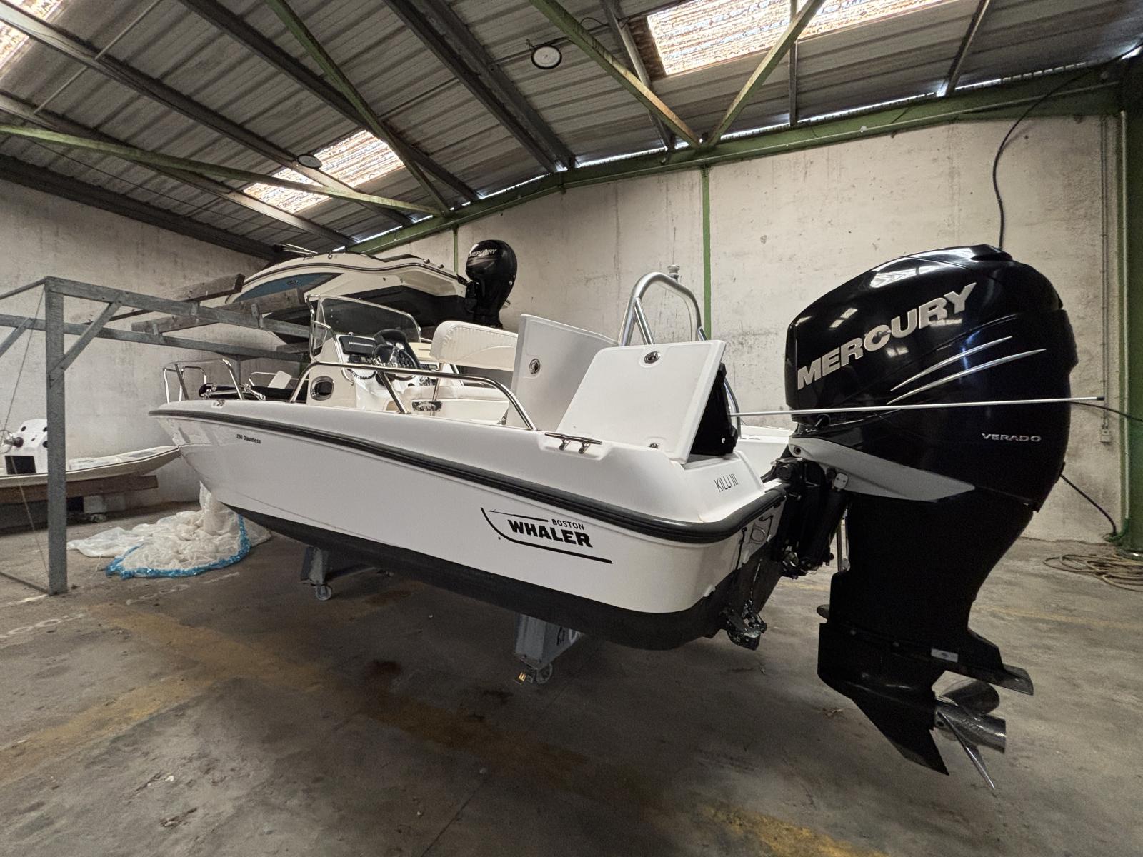 boston_whaler_230_dauntless_-_la_grande_motte_66_.jpg