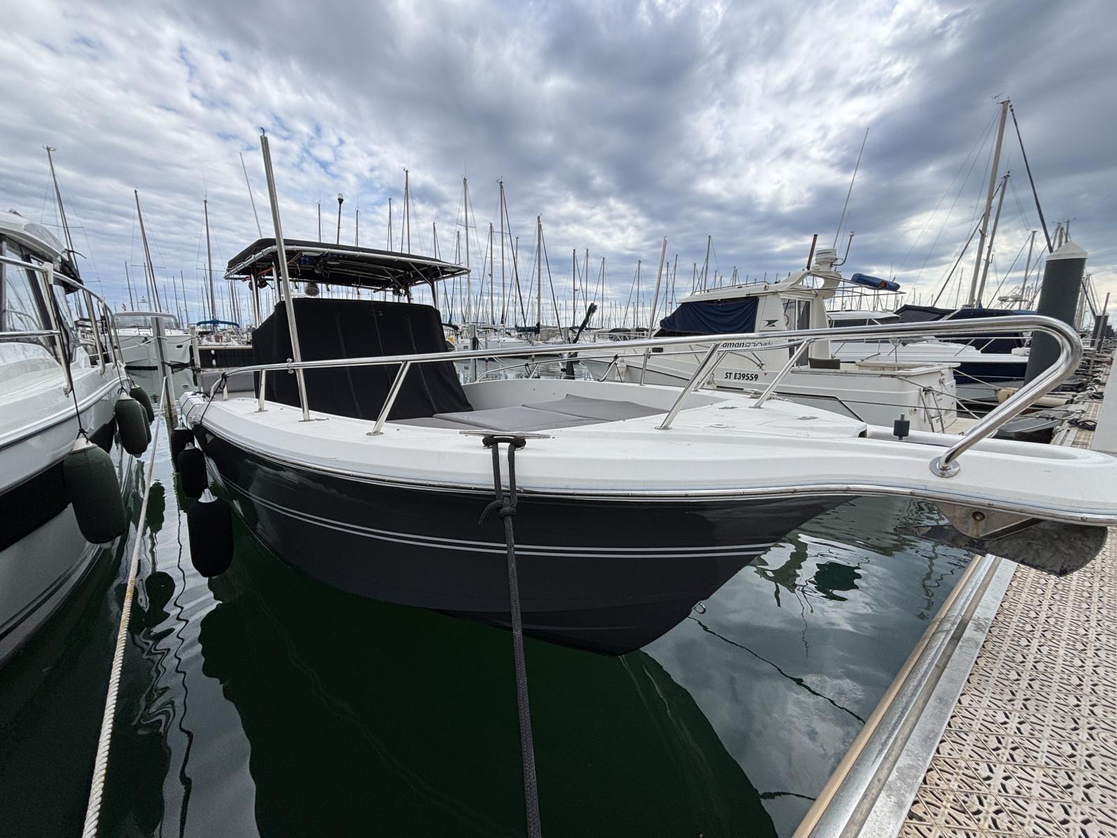 white_shark_285_-_la_grande_motte_23_.jpg