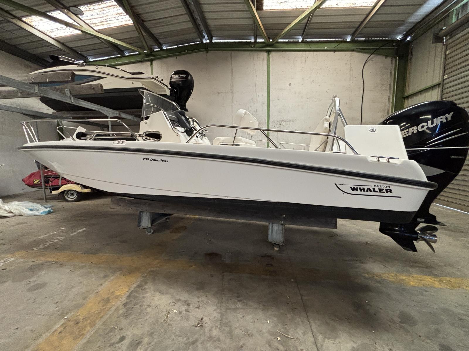 boston_whaler_230_dauntless_-_la_grande_motte_72_.jpg